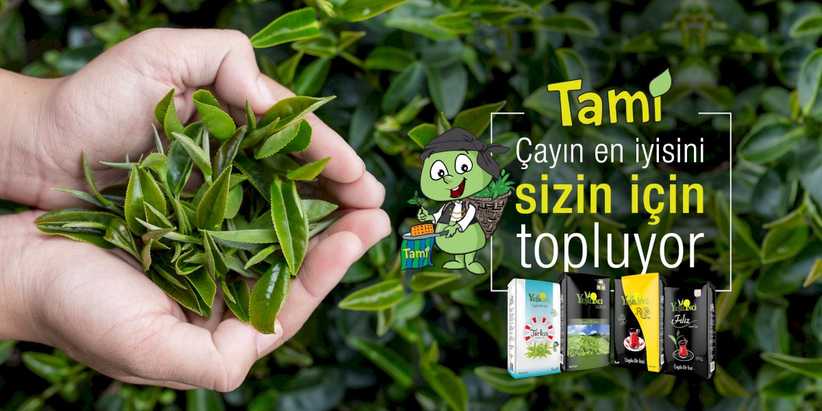 Çay